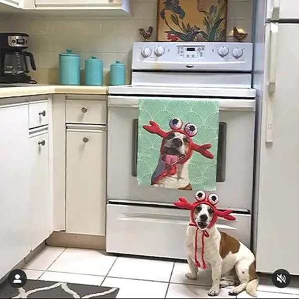 Original Pet Pop Art Dish Towel